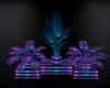 NEON HARD ROCK PLANTS