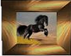 gold horse pic