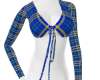 blu plaid wt.