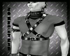 PvC Dark Master