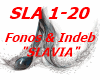 Fonos&Indeb - Slavia