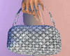 Money Purses Silver