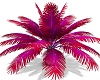 neon pink palm