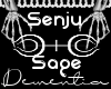 |D| Senju Sage Coat / M