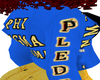Phi Sigma Pledge Jackets