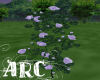 ARC Soft Purple Roses