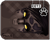 [Pets] Apollo | hair v7