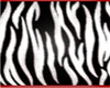 *SS* Zebra Couch