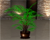 Plant pot 