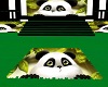 Baby Panda Rug