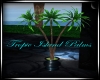 Tropic Island Palms