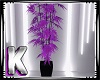 Weed Plant Purple