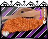 SP Moira Missile Tail