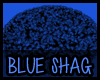 {EL} Blue Shag Rug