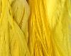 yellow sholder feathers