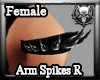 *M3M* Arm Spikes Rigth F