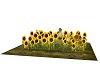 Sunflower Patch animated