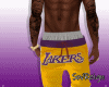 LA Lakers Shorts Lebron