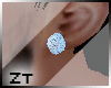 [ZT] Earring Silver