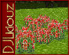 DJL-FlwrPatch Lilly Red