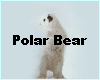 Polar Bear Boogie!