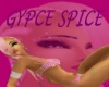 Gypce Spice Club Sign