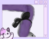 purple cat tail