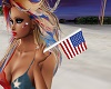 Handheld American Flag