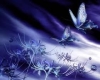 dome purple