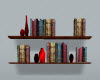 T~Old World Bookshelf