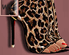 278│Shoes
