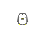 Penguin!