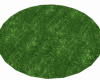 ch)circle of floor grass