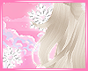 Snowflake Anim