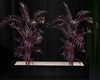 Candy Skulls Plant