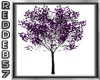 Purple Flower Tree