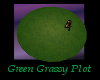 Grassy Green Round Lawn