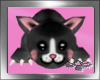Kitten Kouch Black Tux