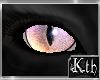 Kth Cat Eyes Bgp