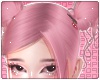 ⍩. xiami pink