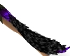 Purple an Black Tail