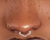 Septum Ring