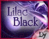 DY* Lilac Black