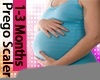 PREGNANCY 1-3 MONTHS SCA