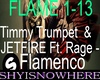 Timmy Trumpet flamenco