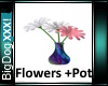 [BD]Flowers+Pot