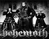 Behemoth Picture