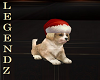 Fox/Christmas Puppy