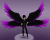Purple/Black Wings
