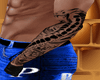 Snake Shot Arms Tattoo
